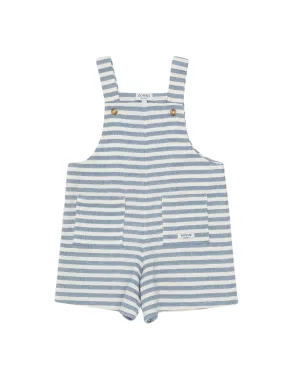Dann Overall