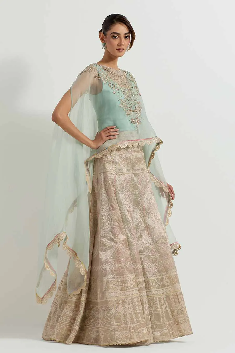 Raeth Sage Embroidered Cape & Tissue Lehenga Set