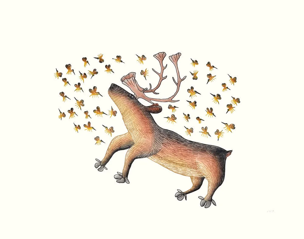 Summer Buzz, by Cee Pootoogook, Cape Dorset Print